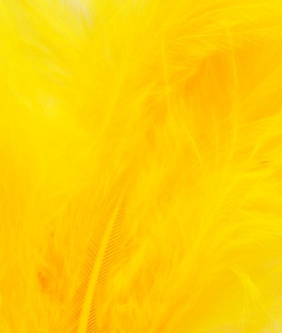 Veniard Dye Bag Bulk 100G Sunburst Yellow Fly Tying Material Dyes
